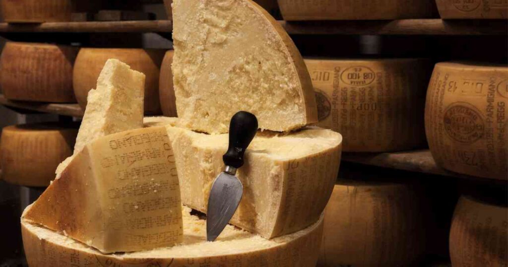 parmgiano reggiano crosta